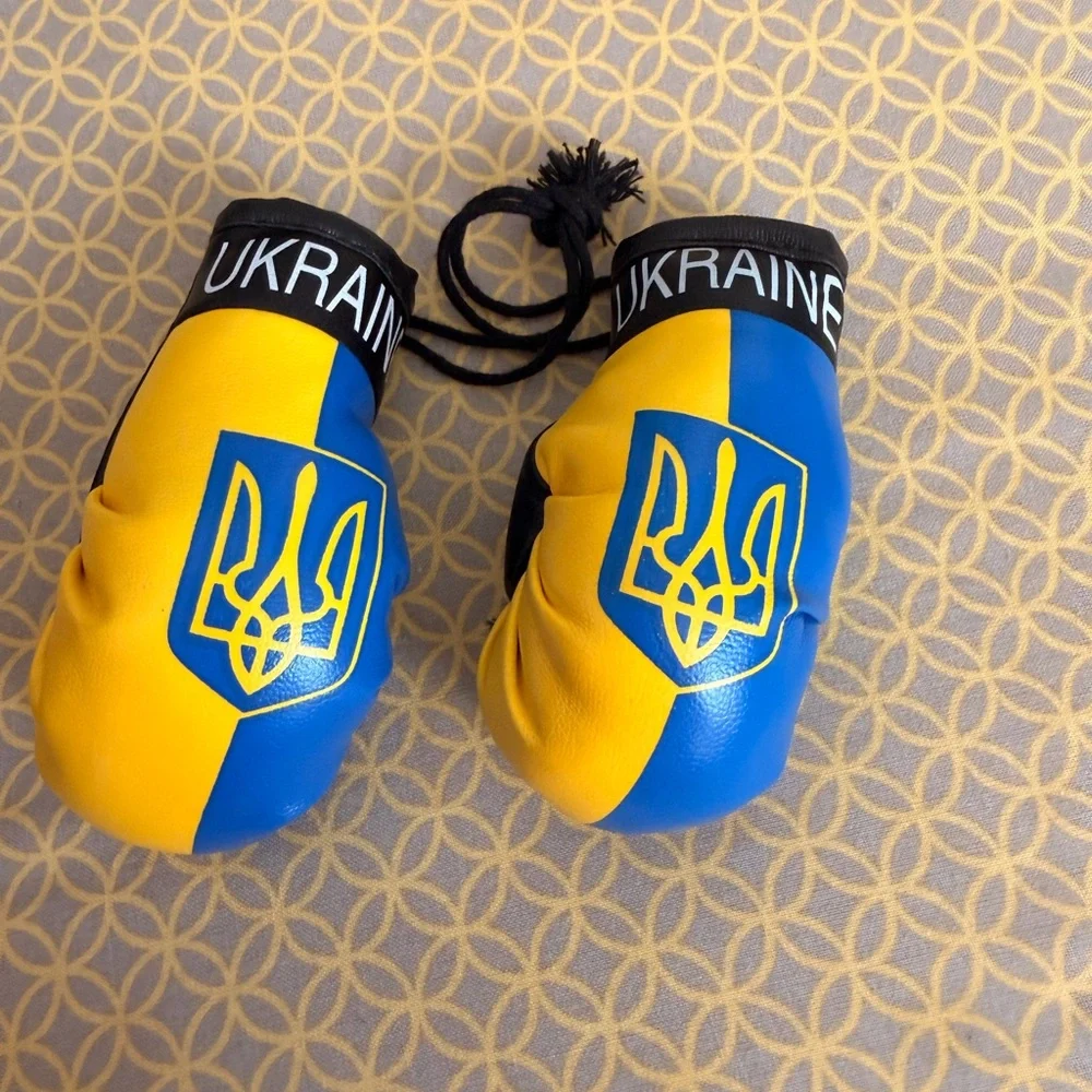 Boxing Gloves with Ukrainian Flag 🇺🇦 - Picture 1 of 1